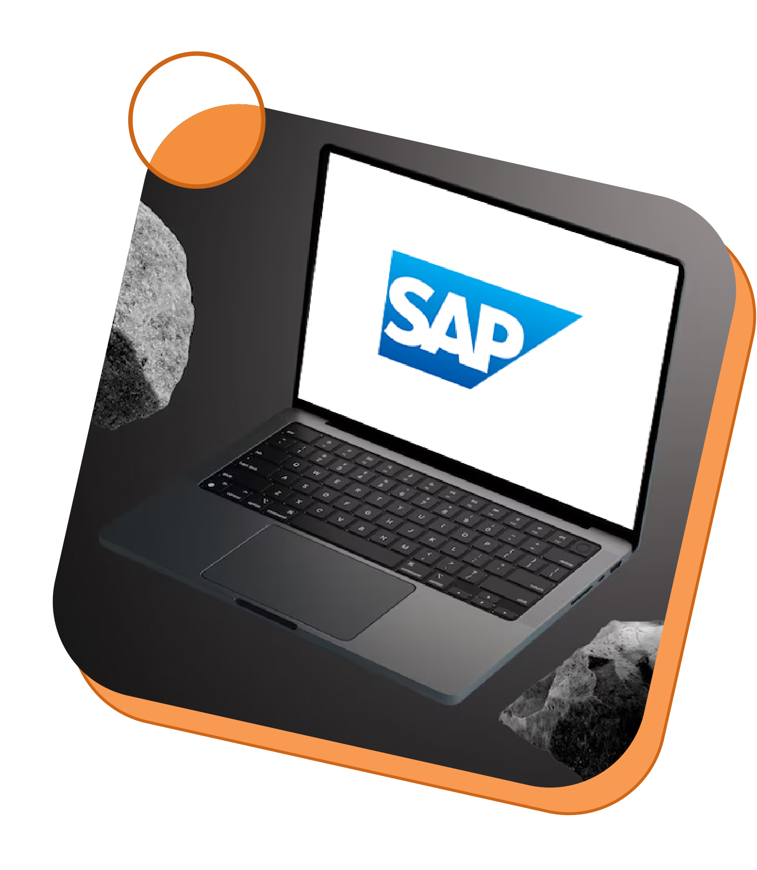 SAP Development